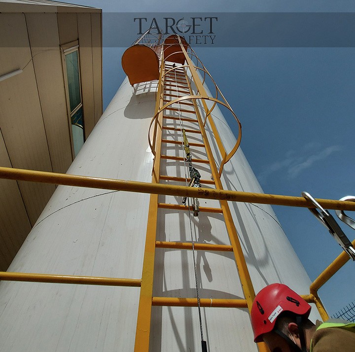 Dikey Yaşam Hatları hizmet